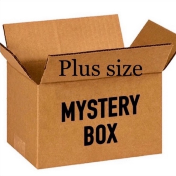 Plus Size Mystery Box 0X-3X 3-5 items NWT or EUC - Picture 2 of 2